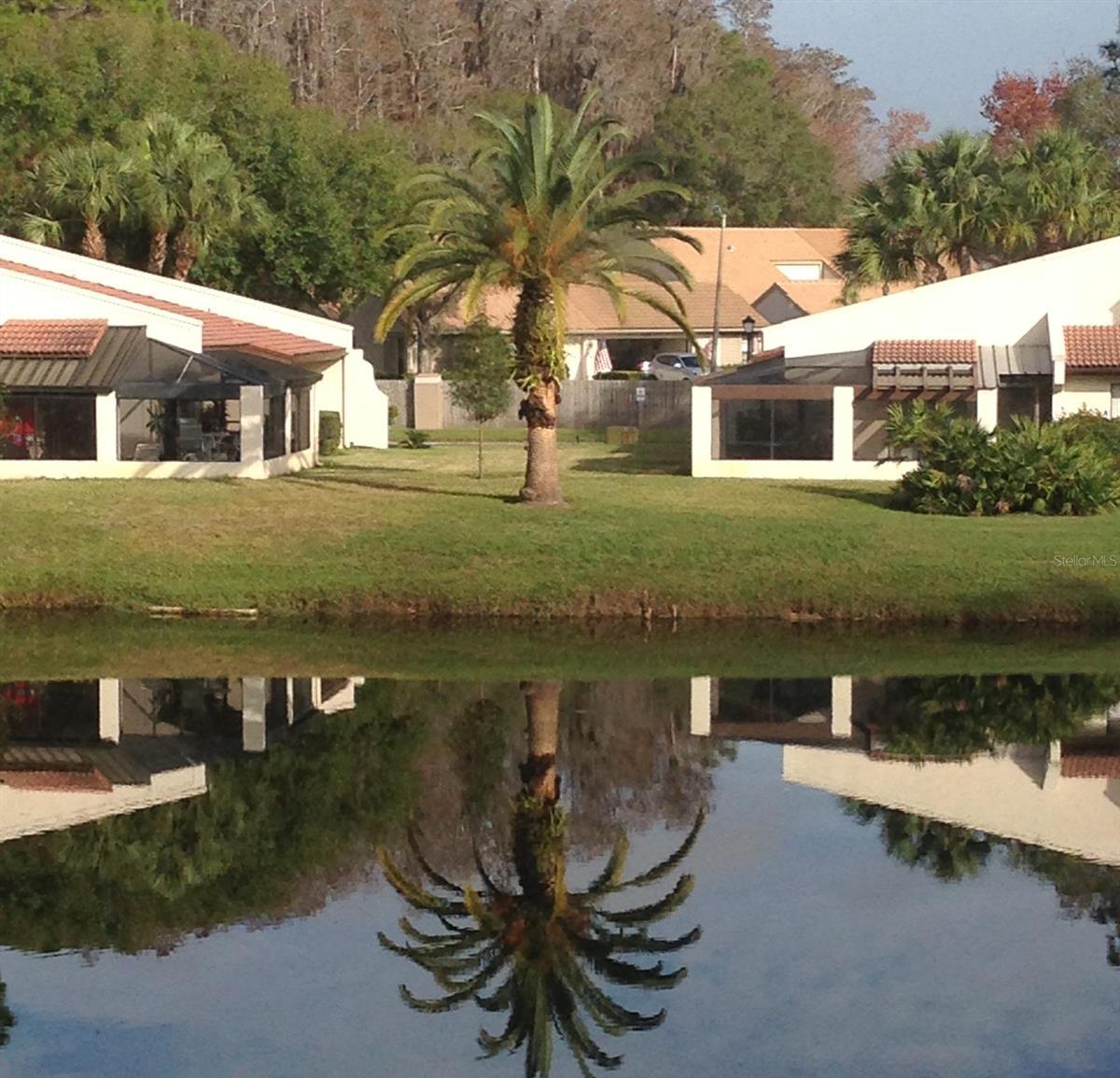 Photo #28