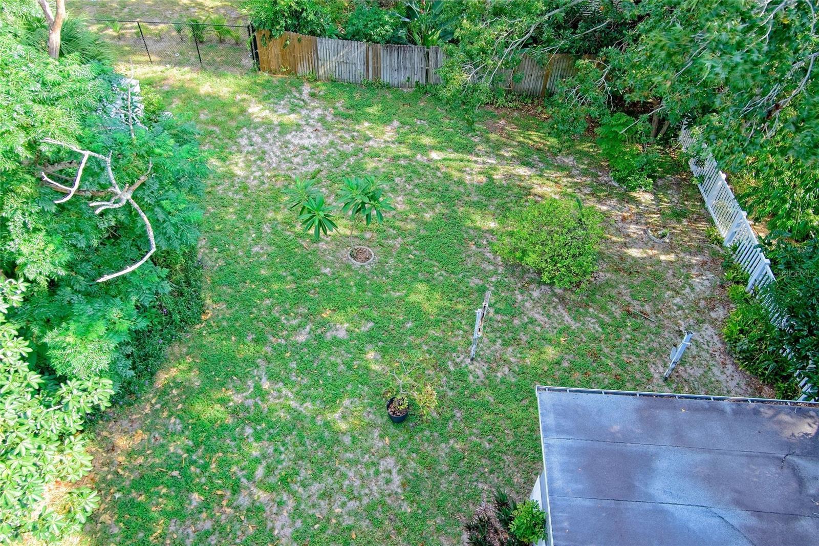 Photo #37