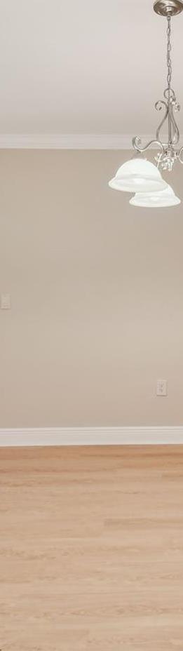Photo #7