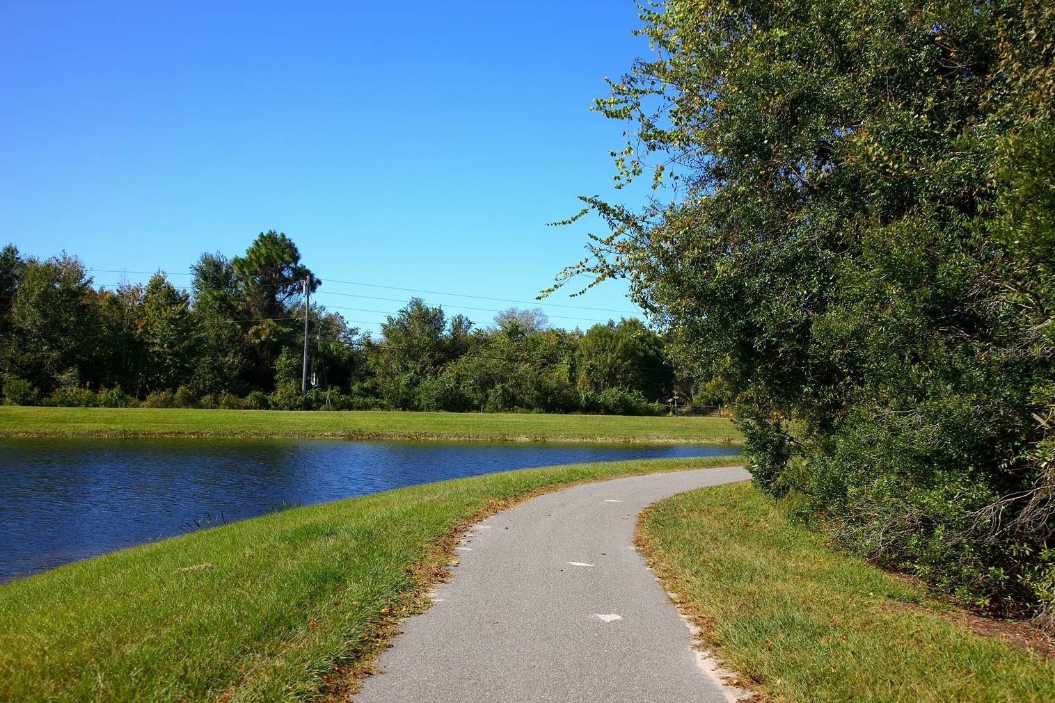 Photo #42
