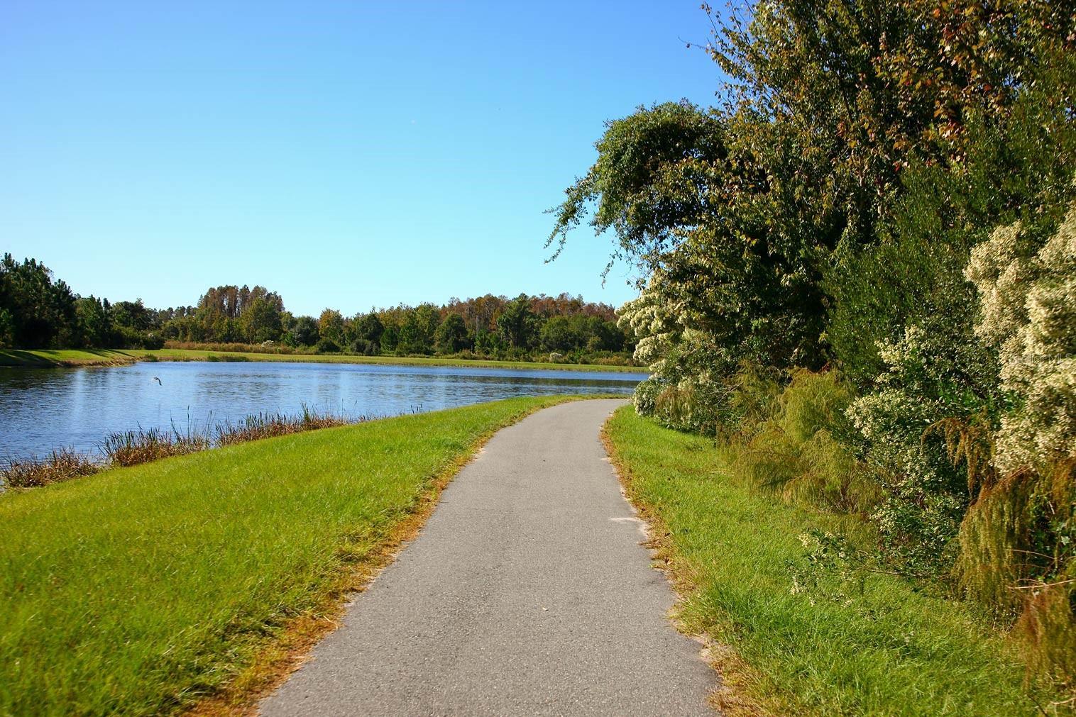 Photo #41