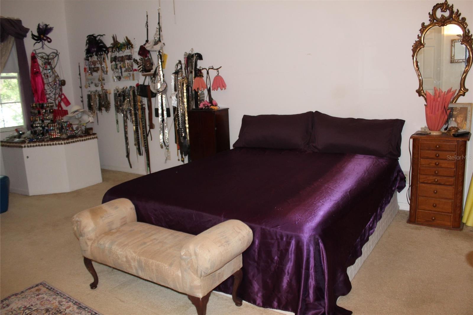 Photo #11