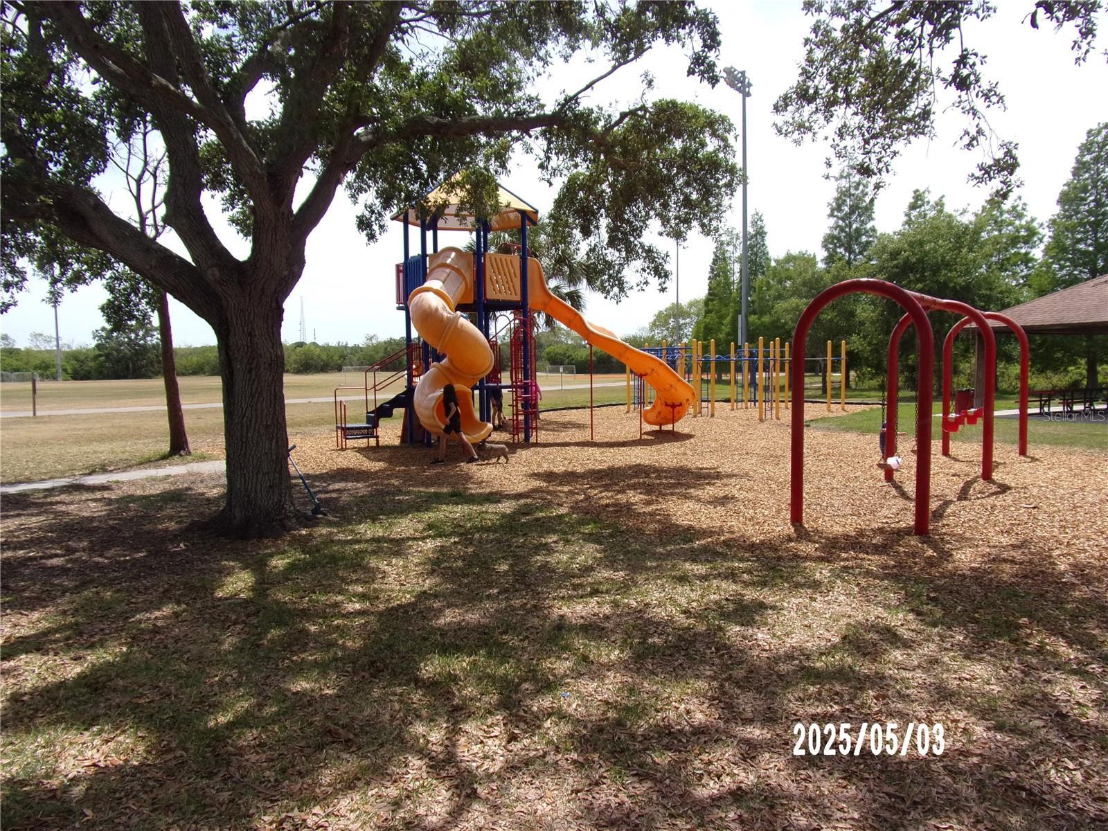 Photo #19