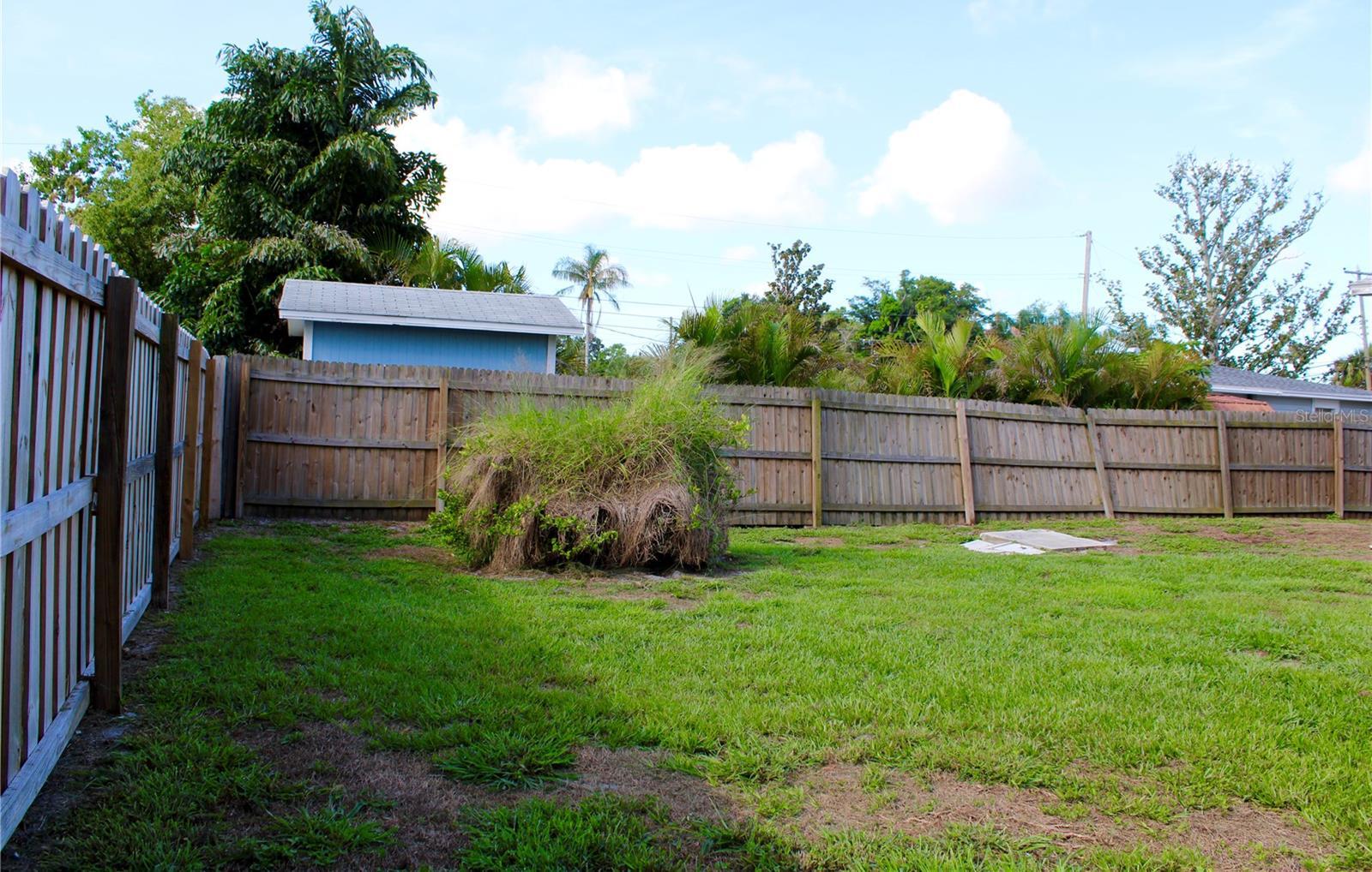 Photo #36