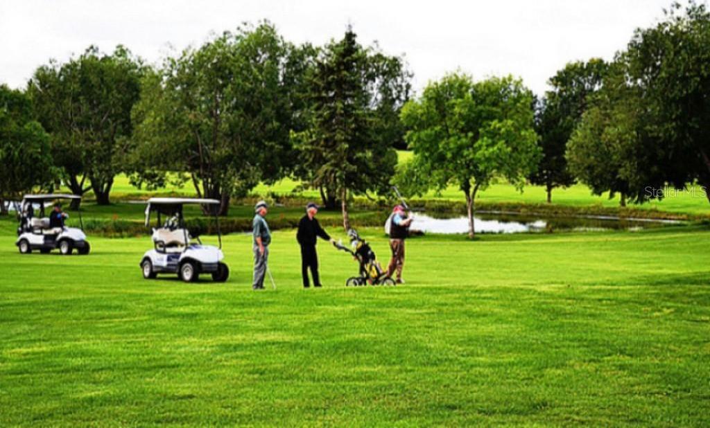 Photo #47