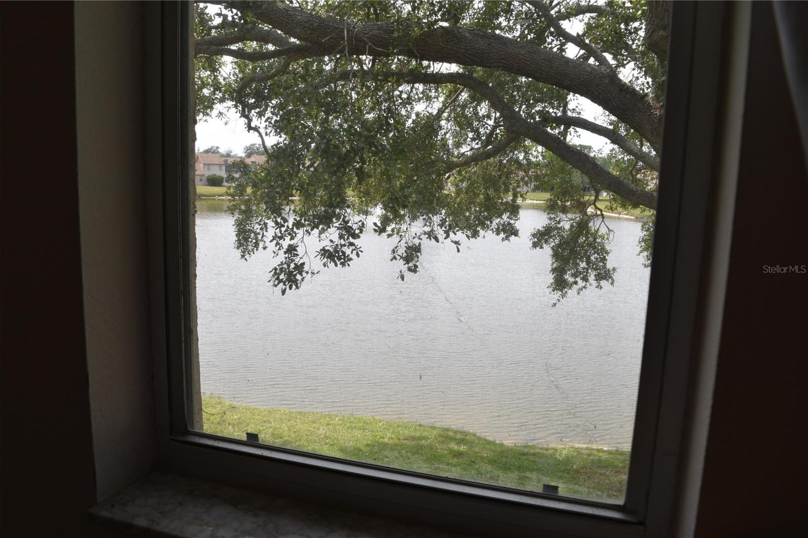 Photo #18