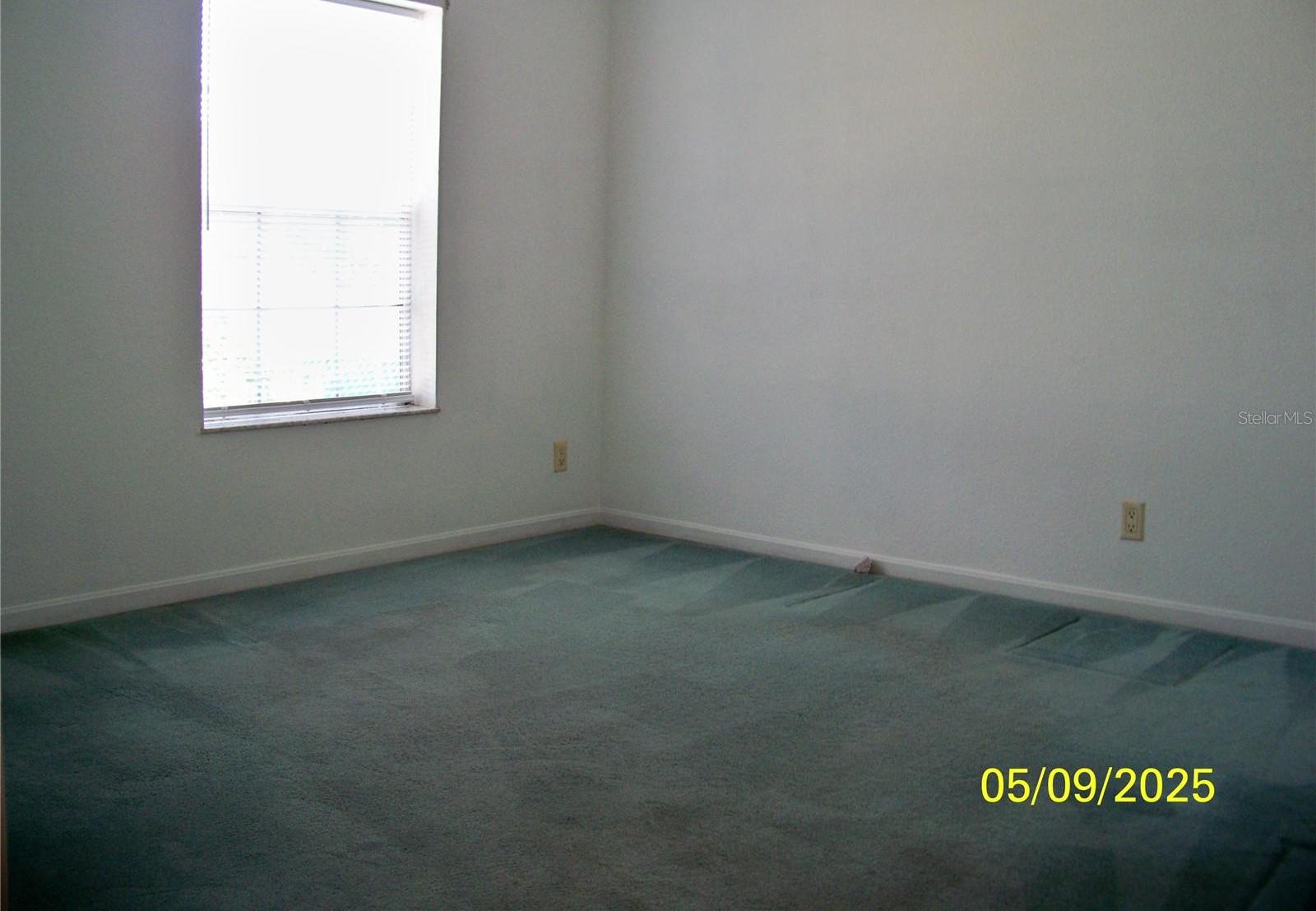 Photo #13