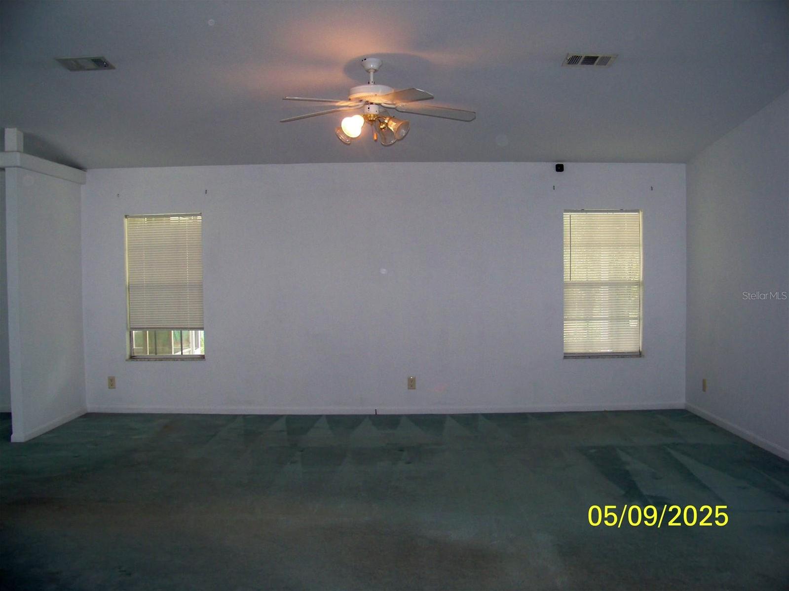 Photo #3