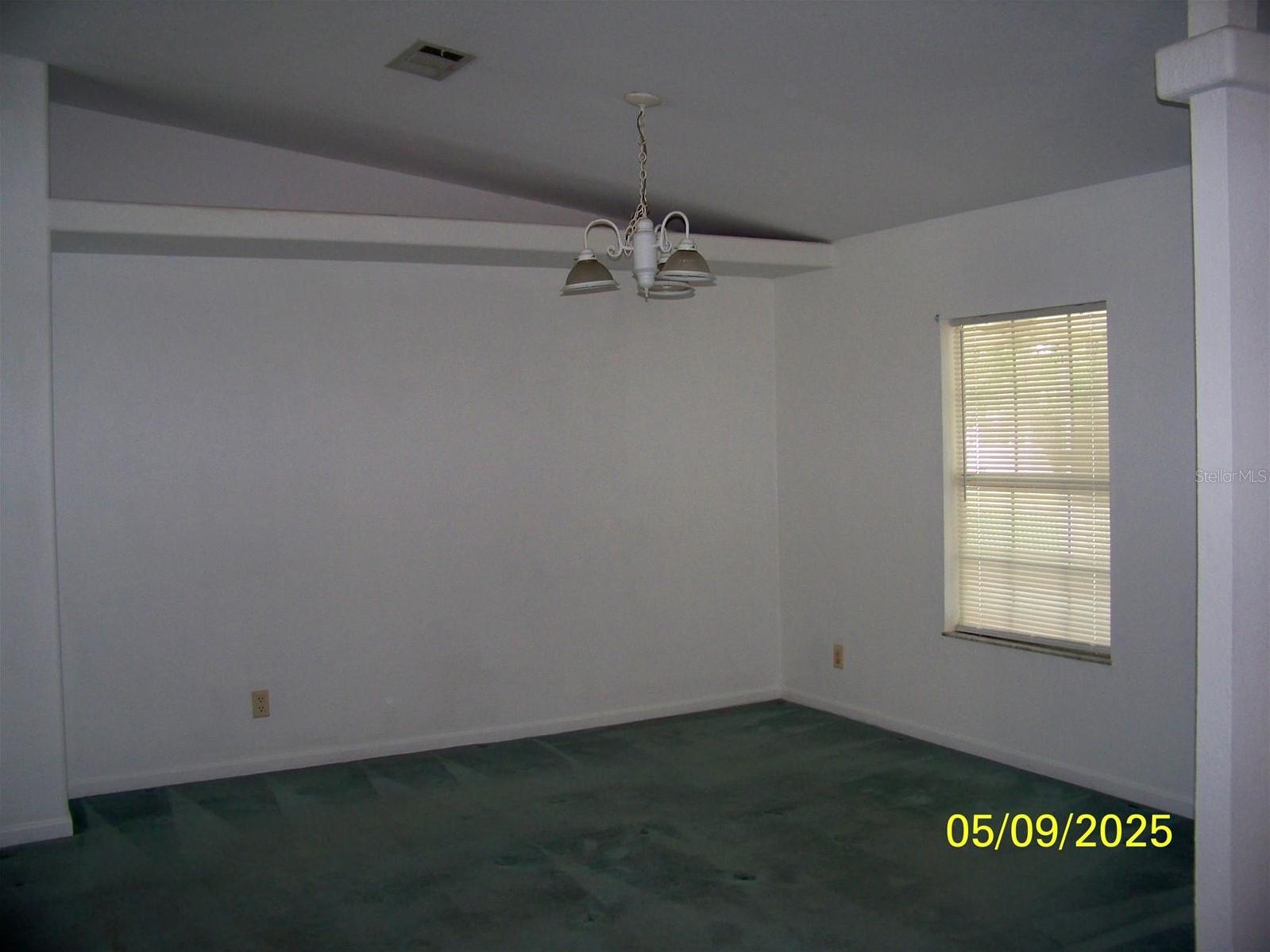 Photo #4