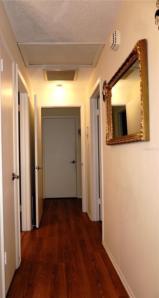 Photo #19