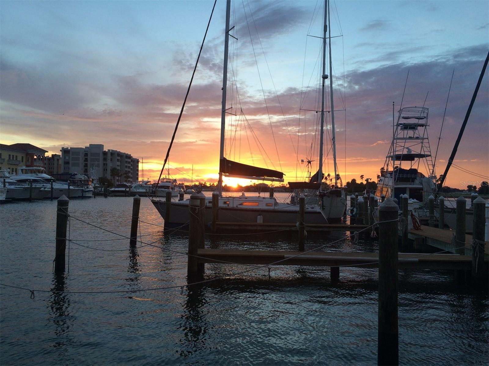 Photo #51