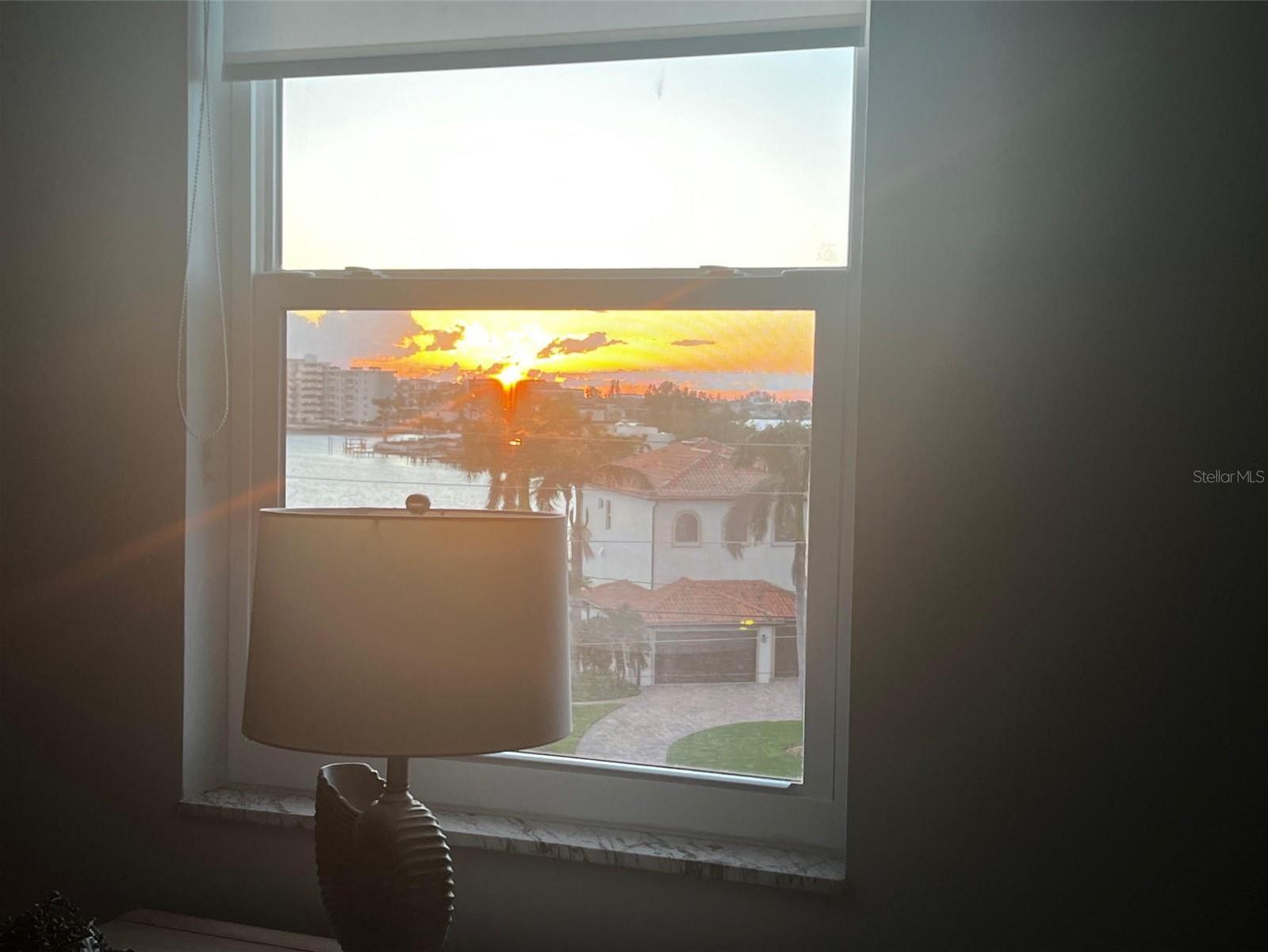 Photo #6
