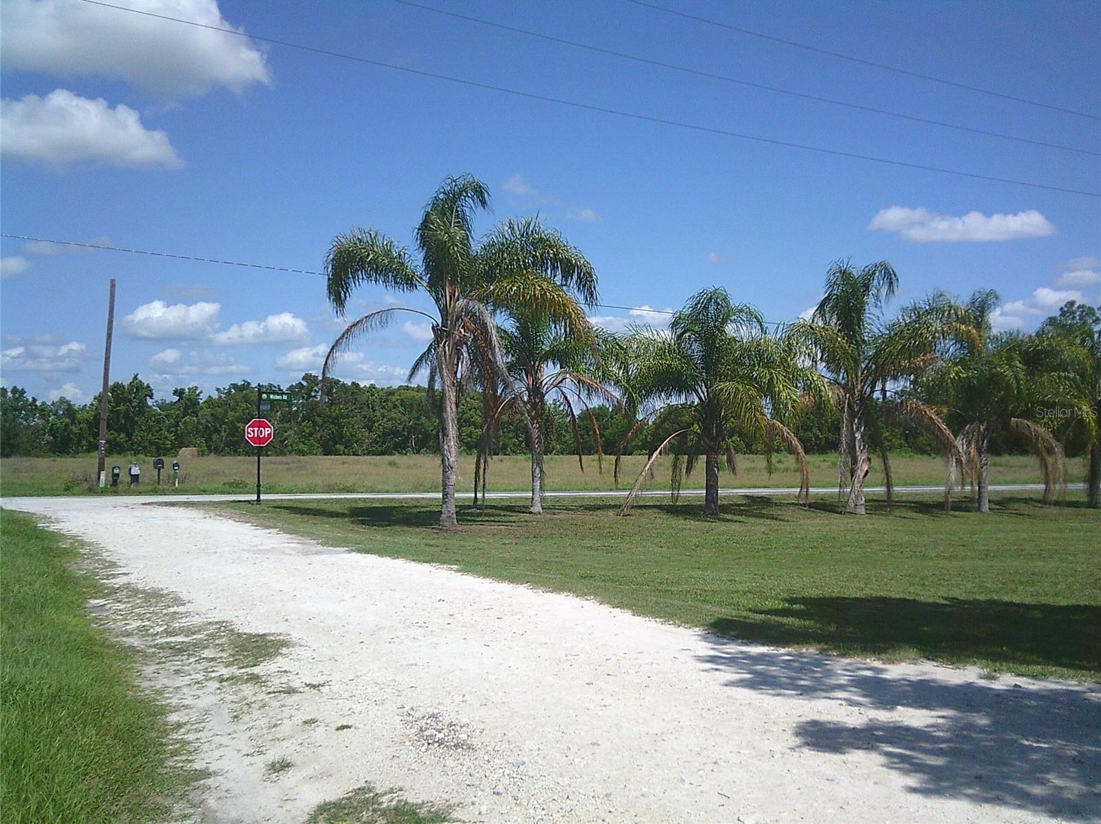 Photo #18