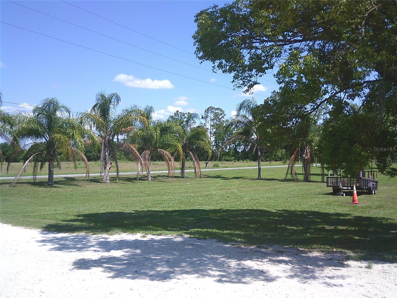 Photo #17