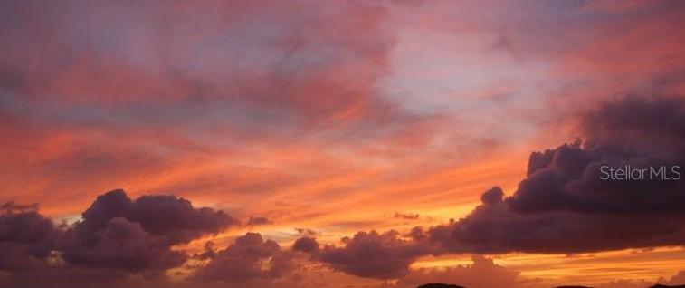 Photo #45