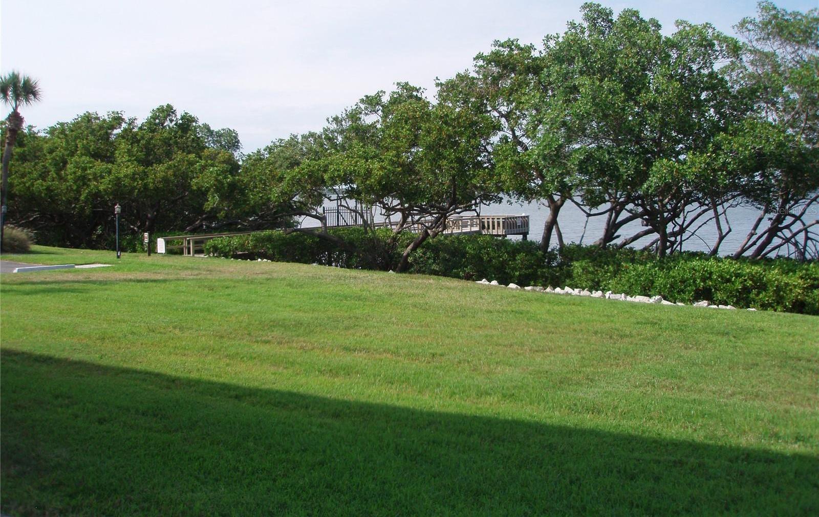 Photo #12