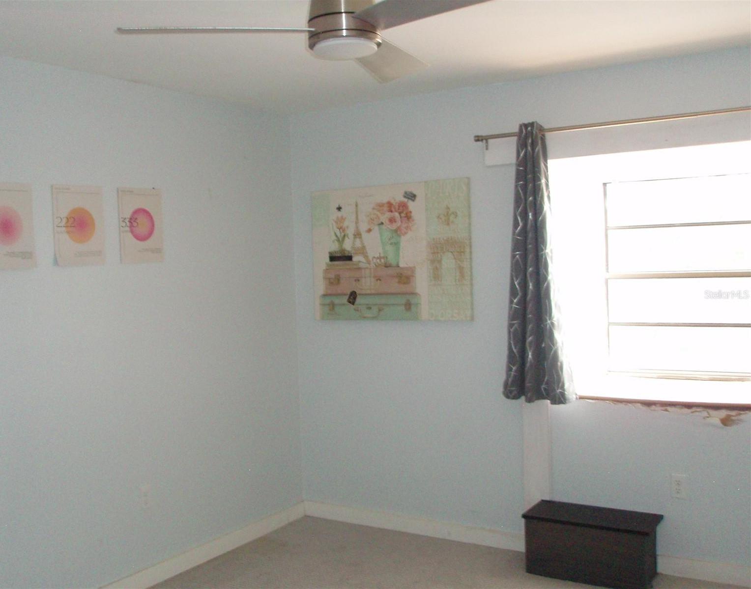 Photo #8