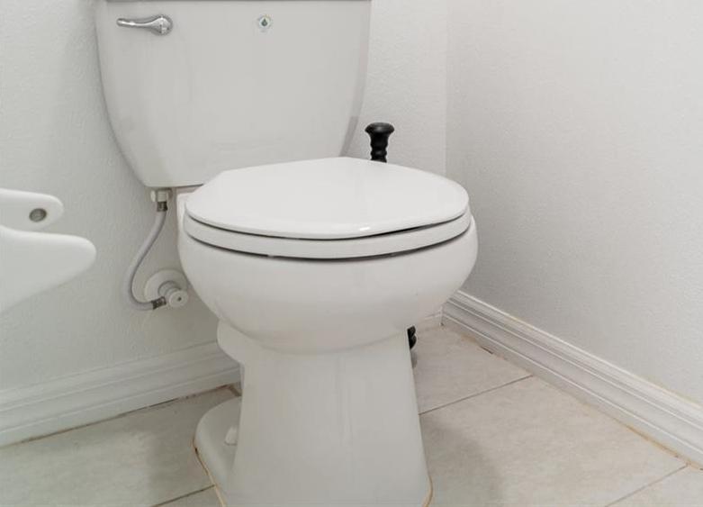 Photo #14