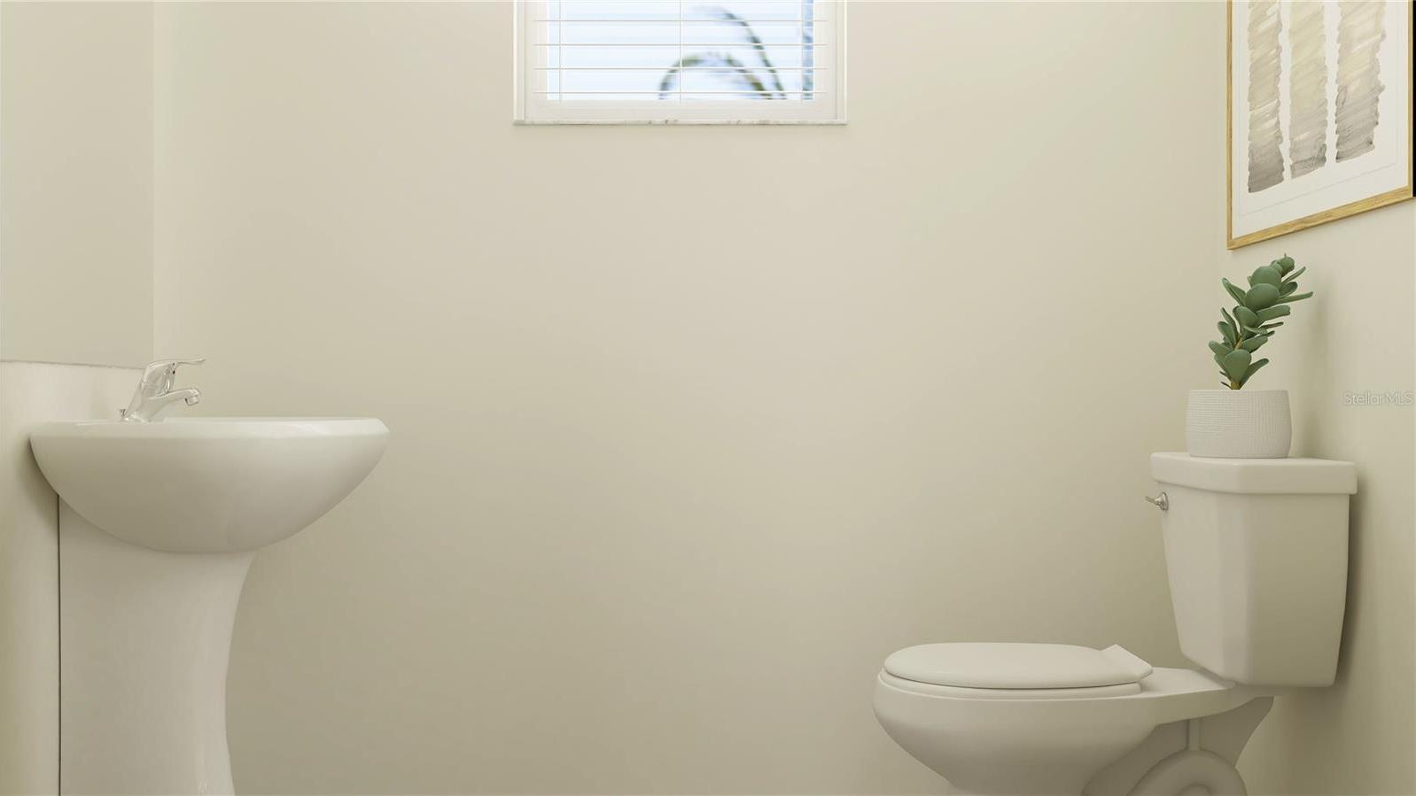 Photo #9