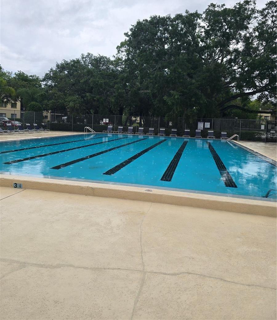 Photo #38