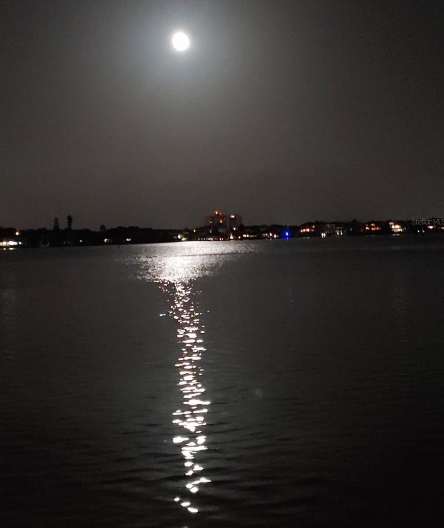 Photo #15