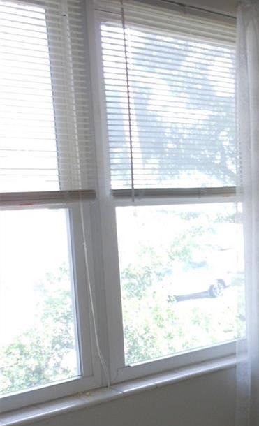 Photo #23