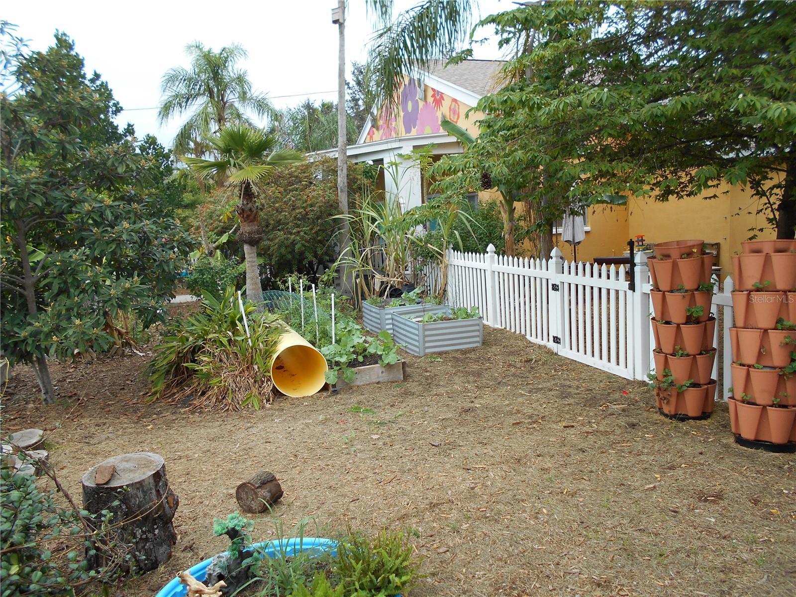 Photo #17