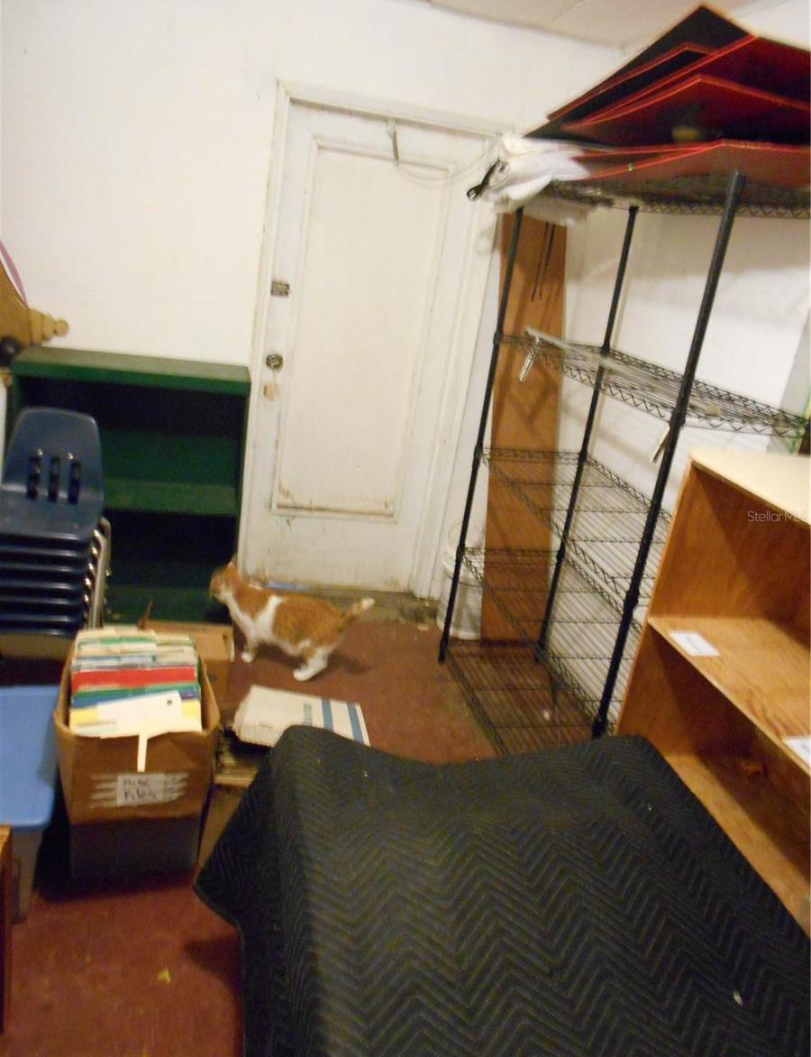 Photo #11