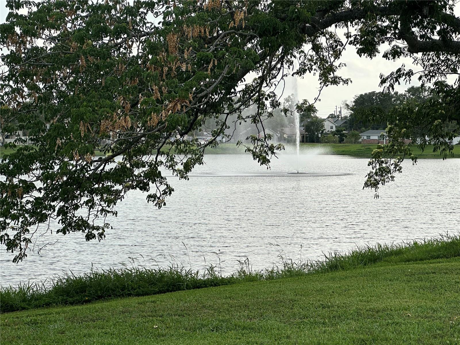 Photo #19