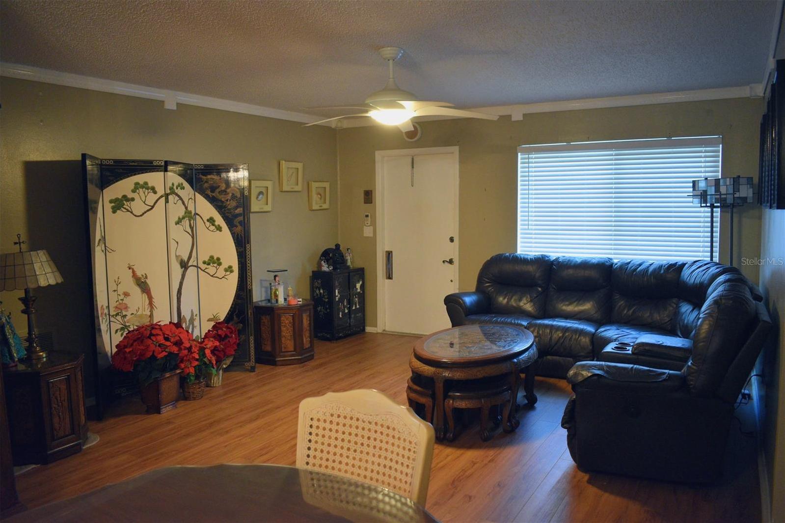 Photo #5