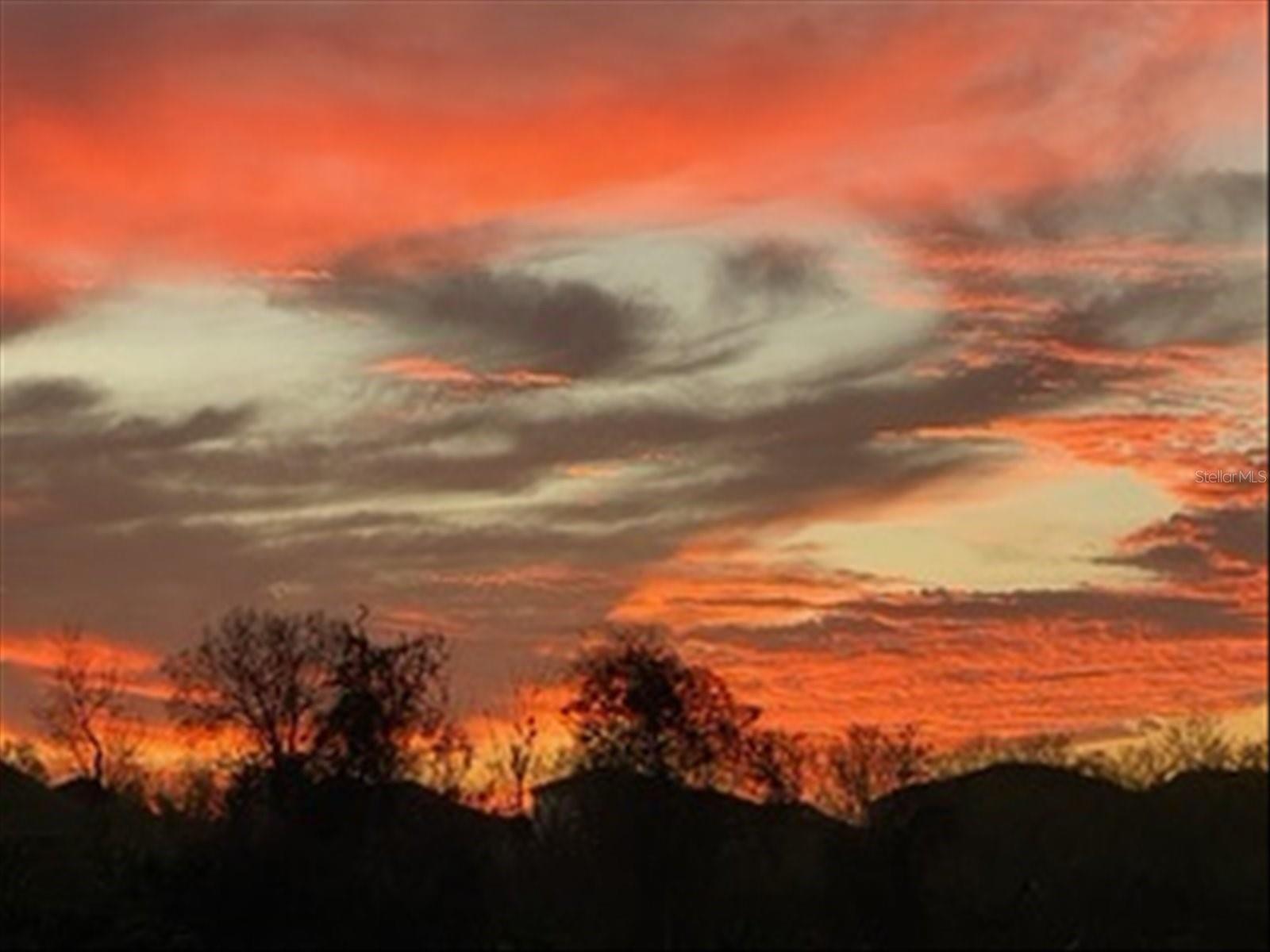 Photo #49