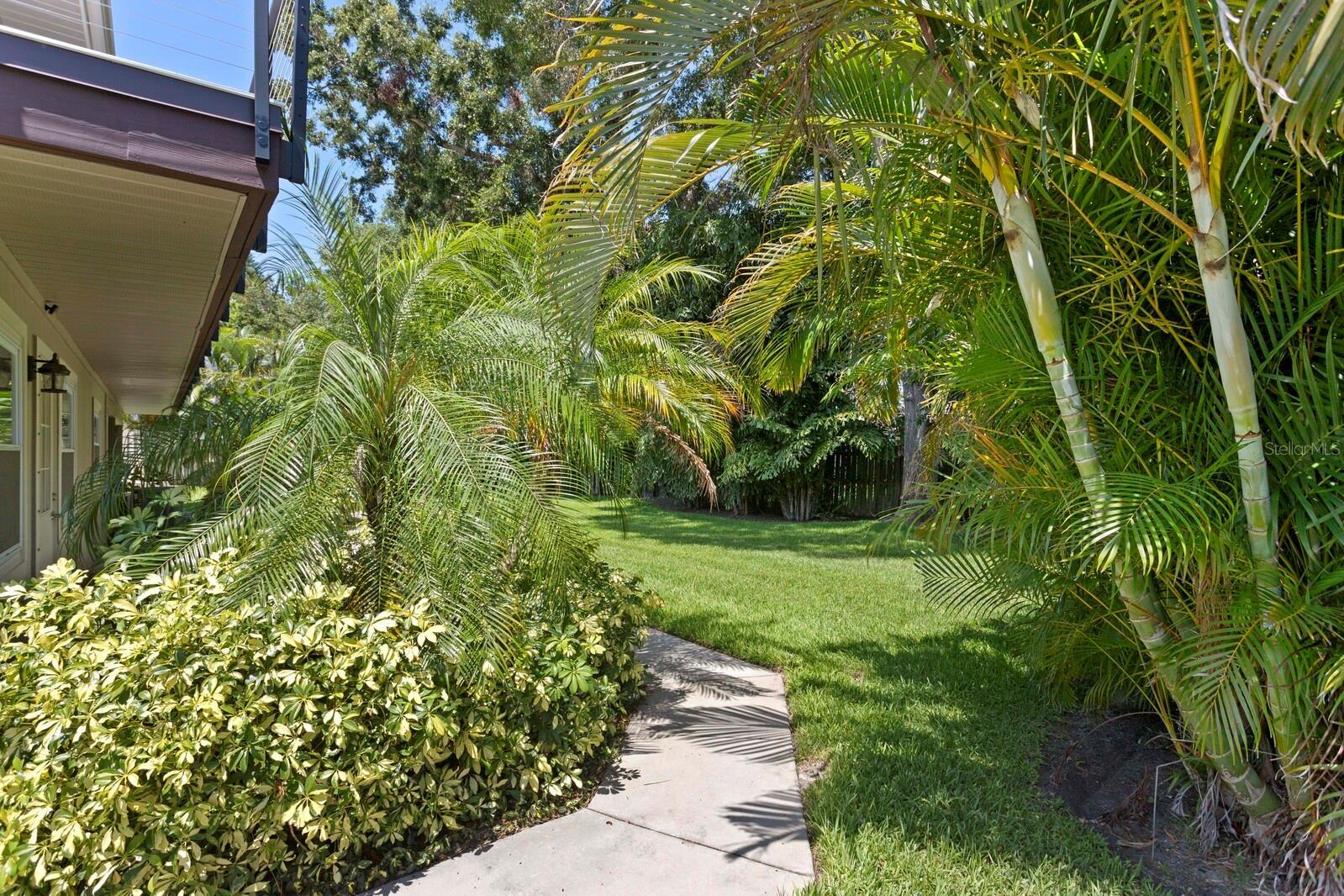 Photo #61
