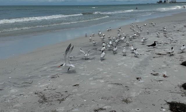 Photo #21