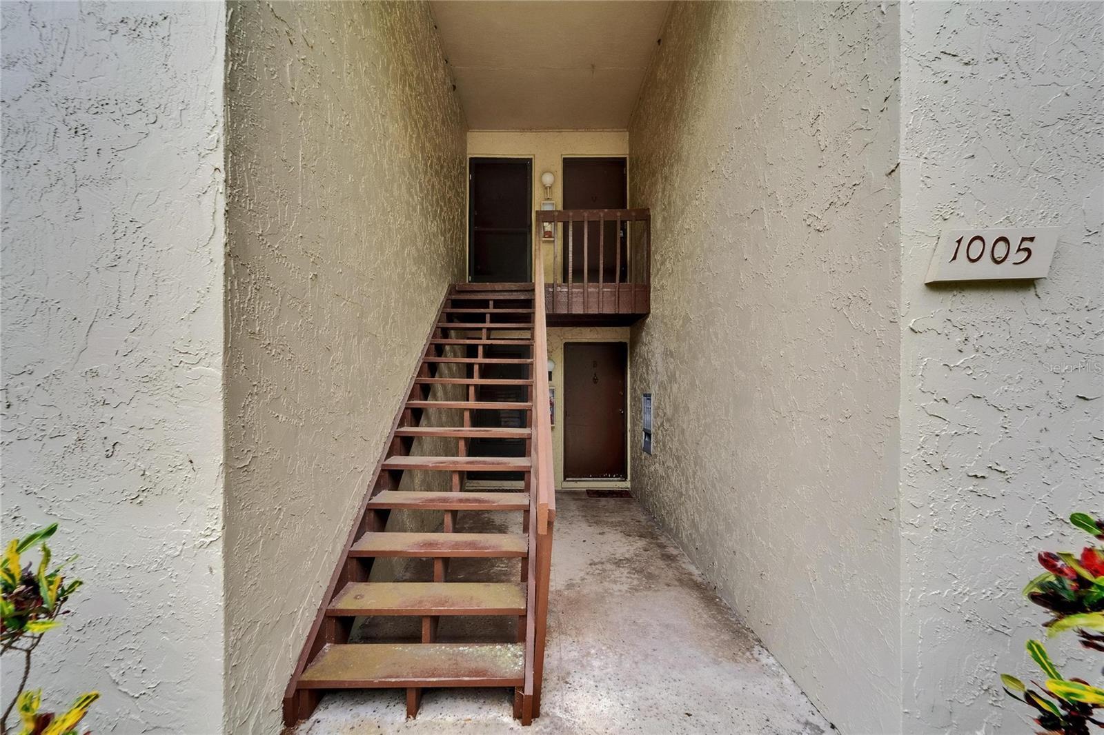 Photo #7