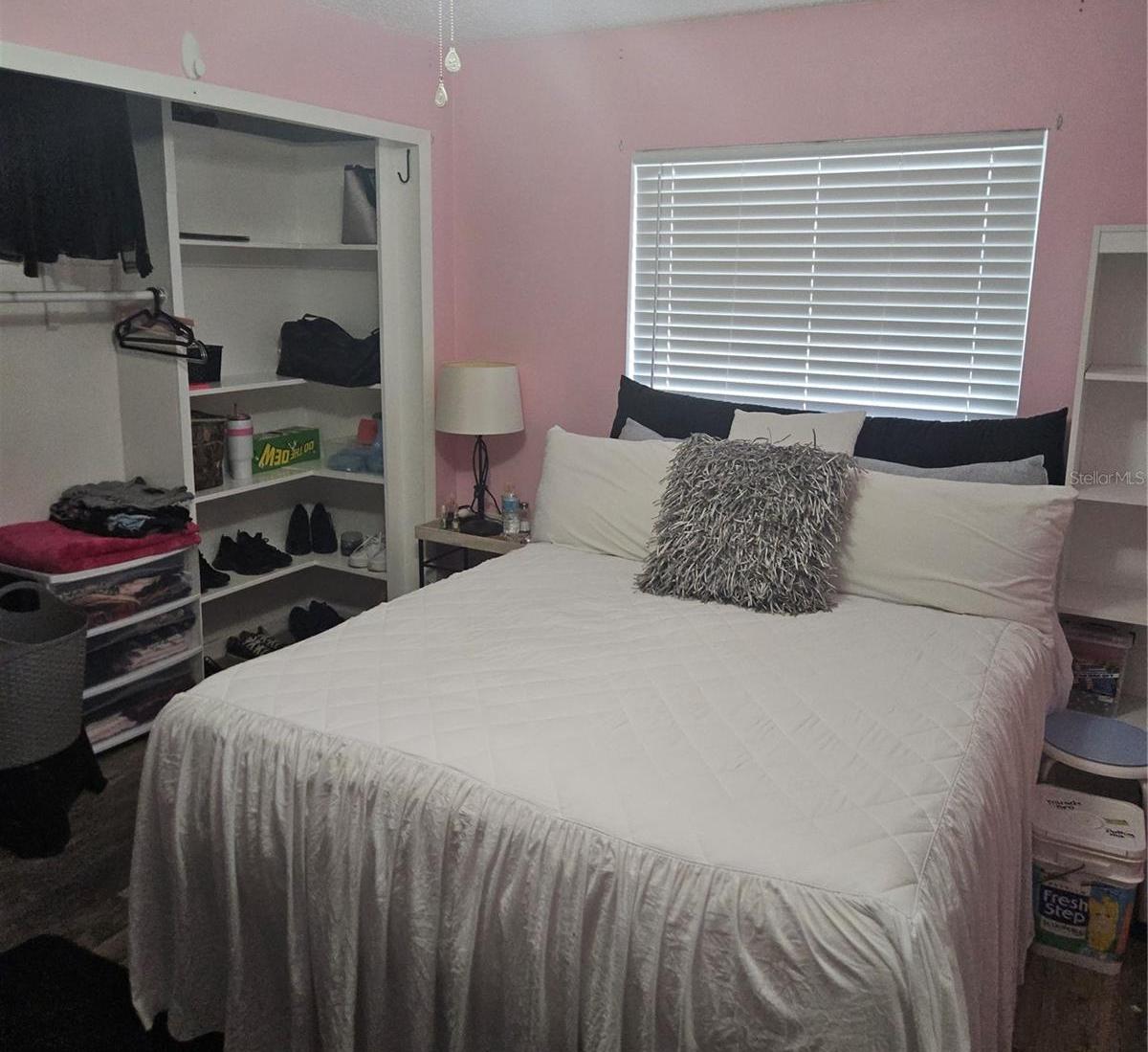 Photo #11