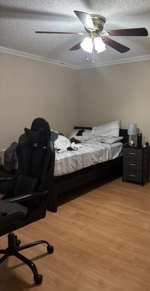 Photo #17