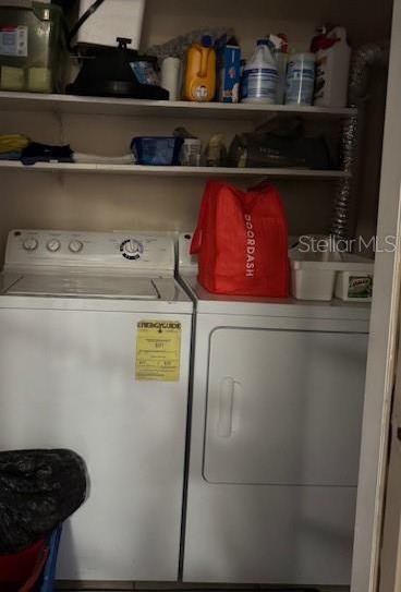 Photo #10