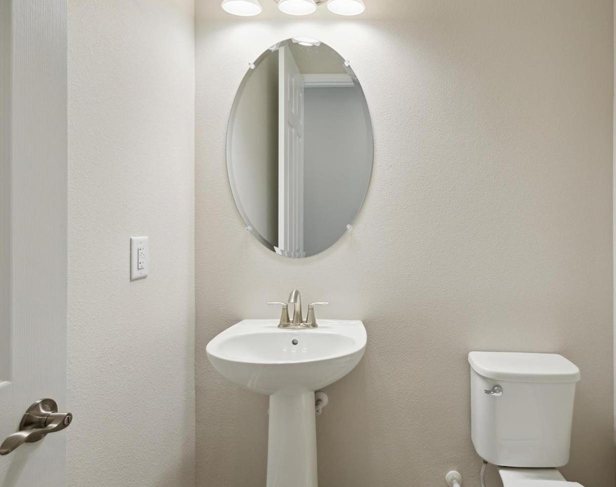 Photo #15