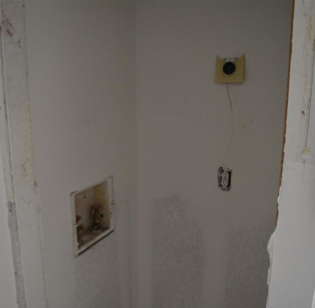 Photo #12