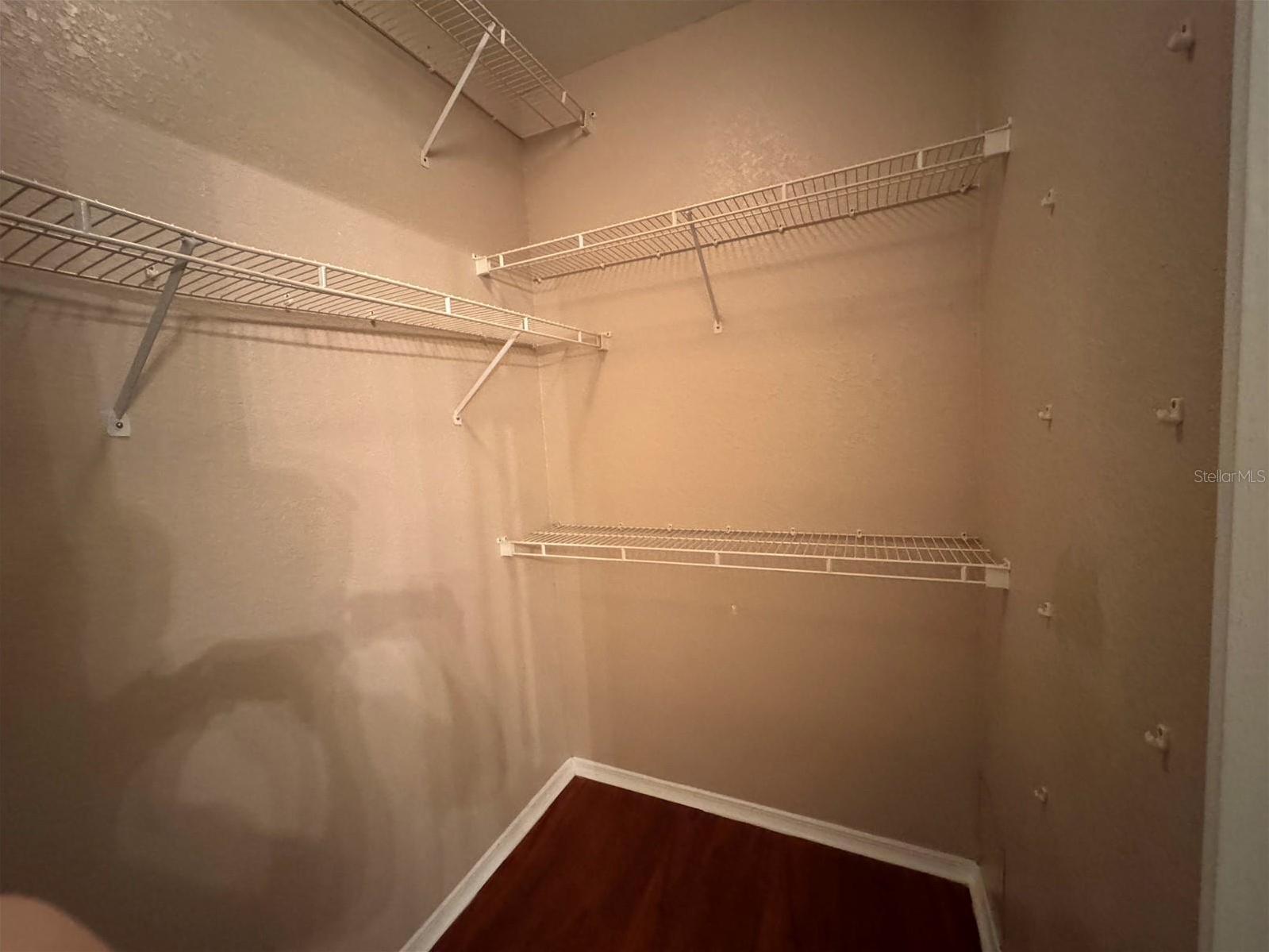 Photo #31