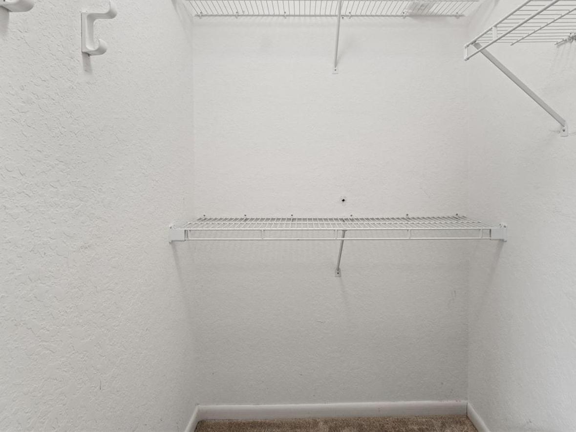 Photo #19
