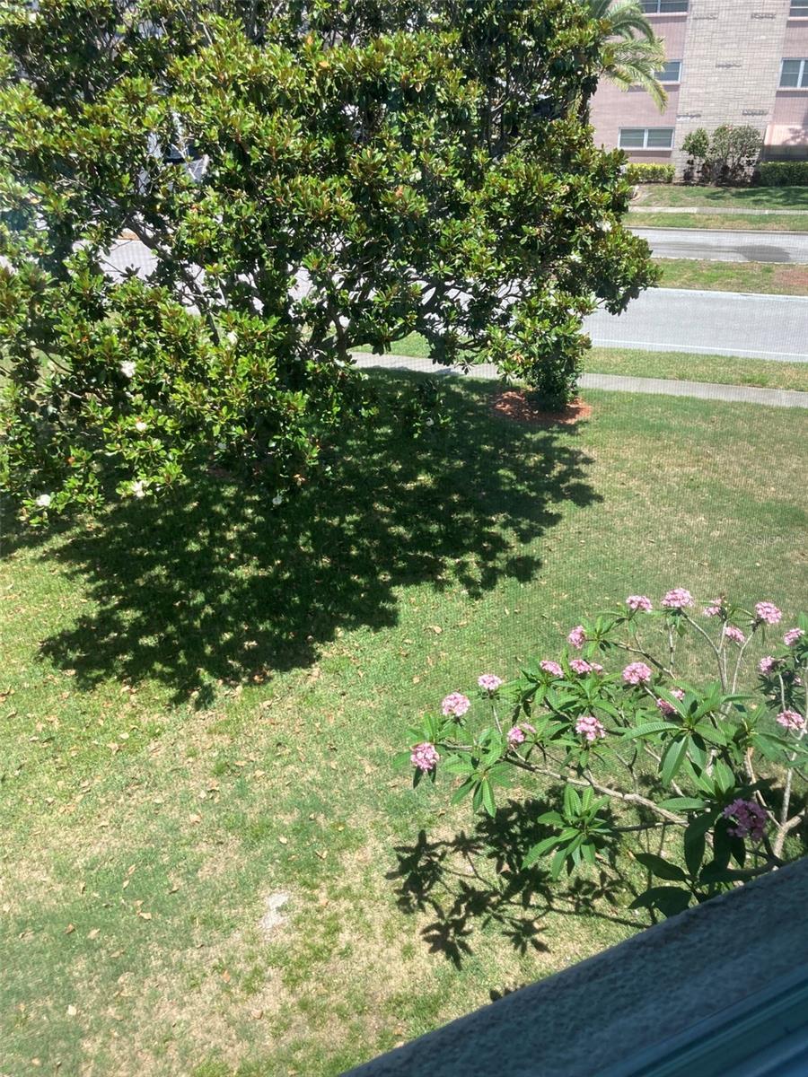 Photo #18