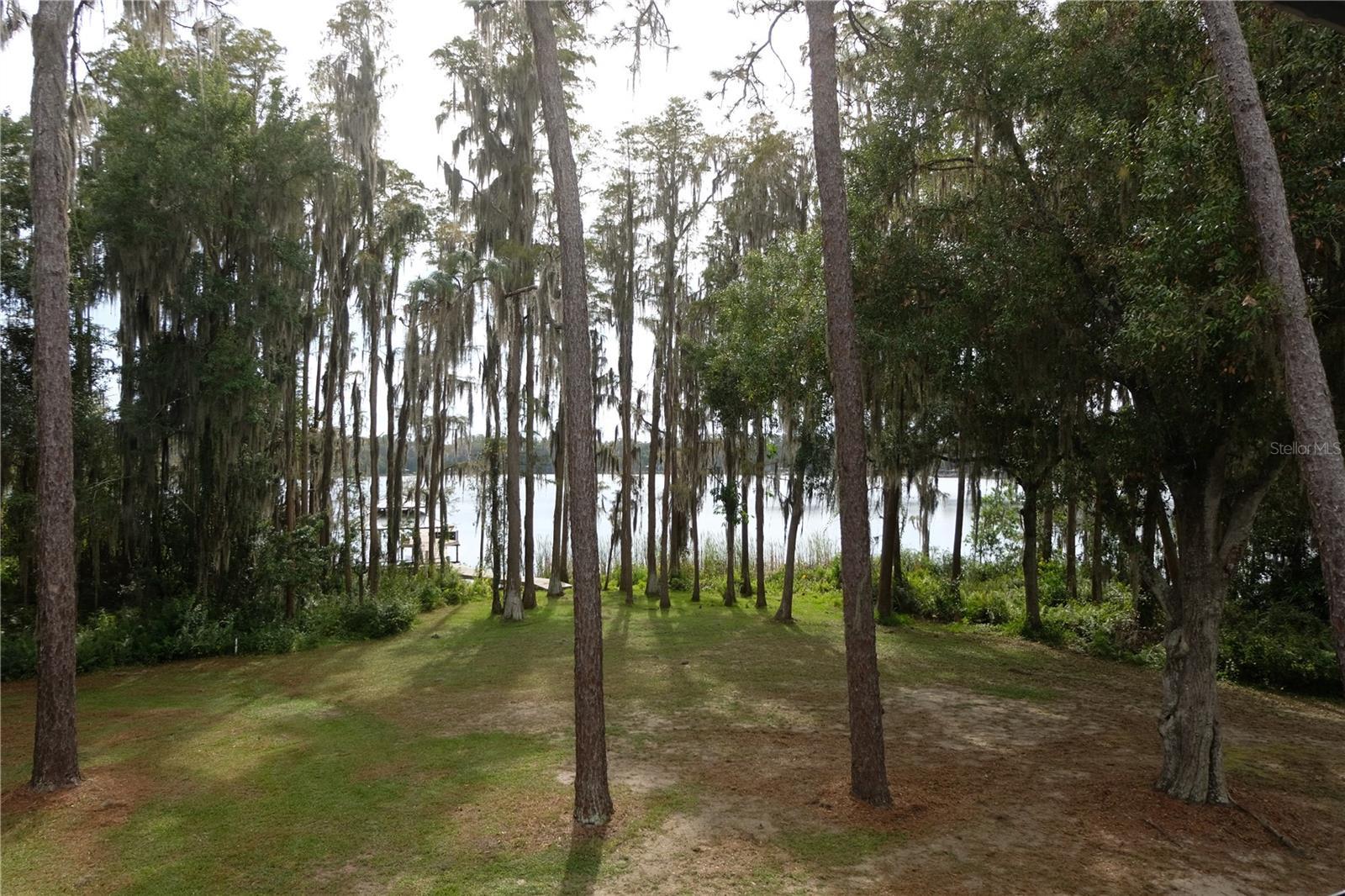 Photo #16