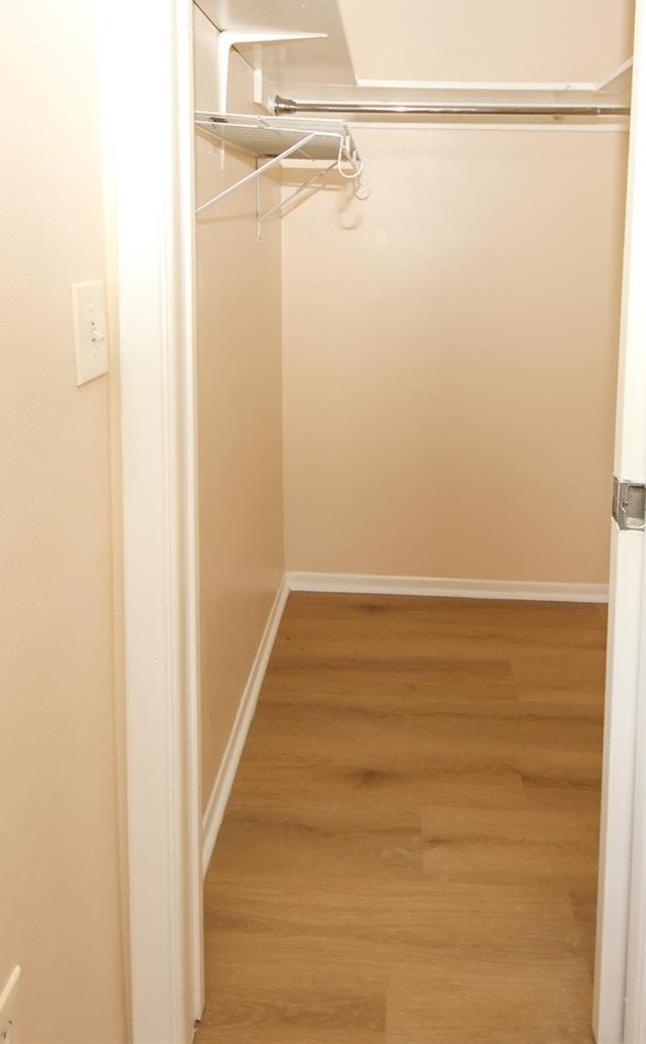 Photo #18