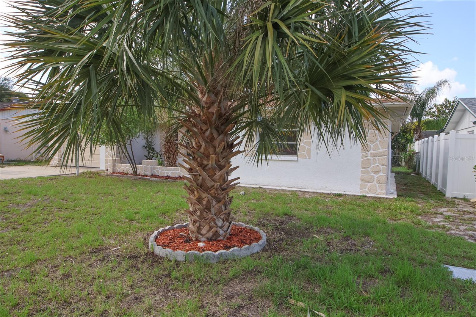 Photo #3