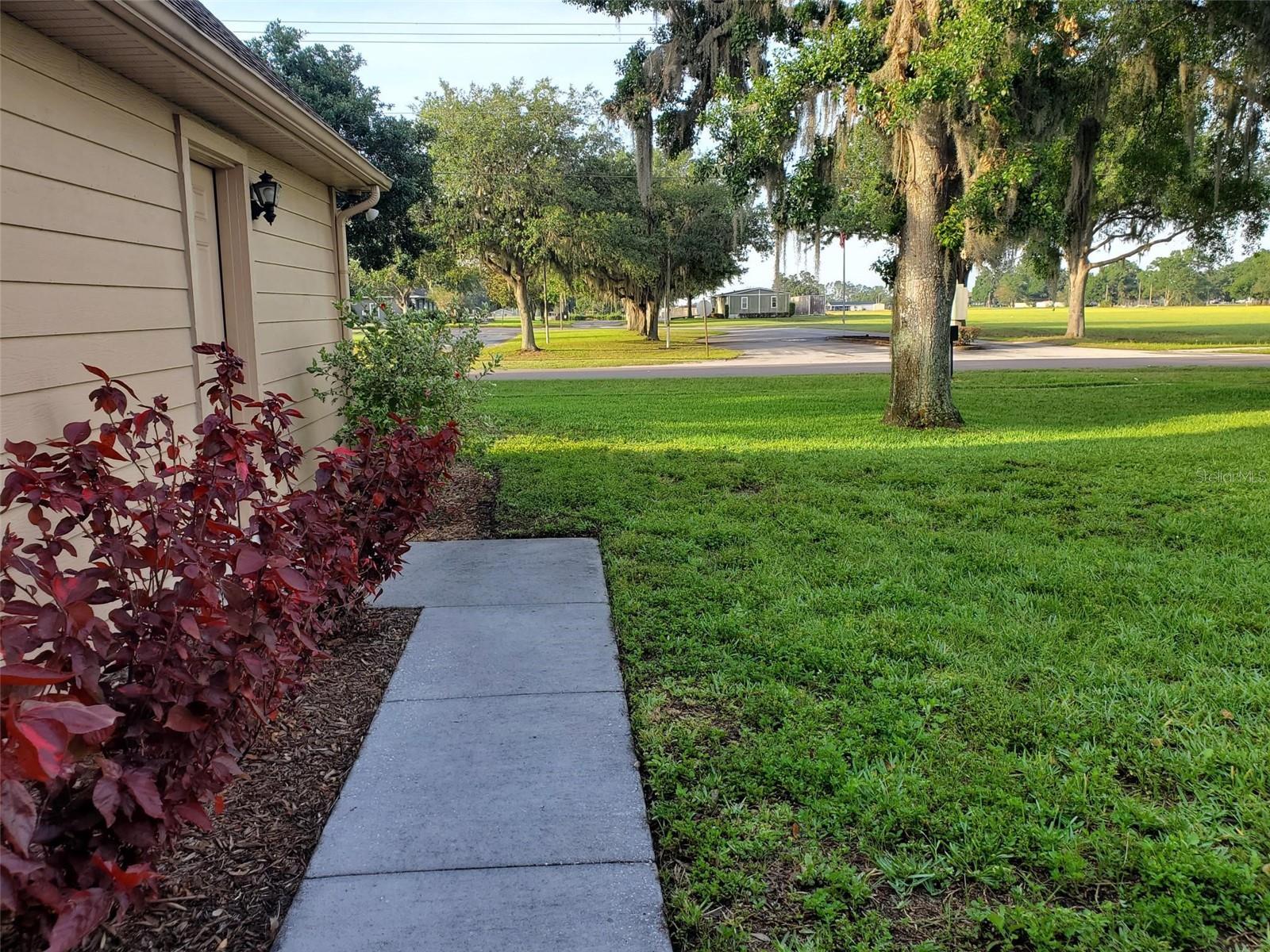 Photo #63
