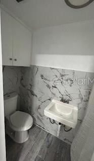 Photo #12