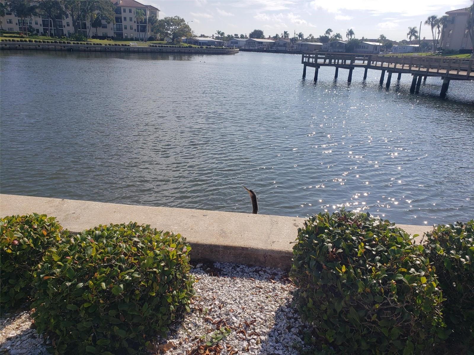 Photo #37