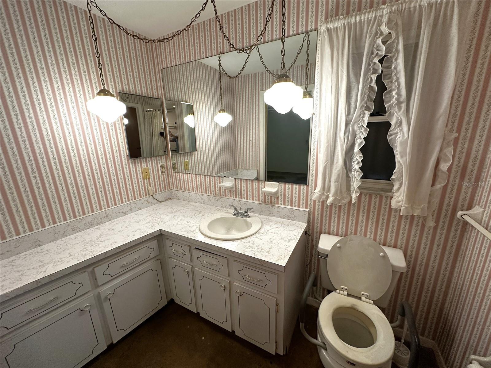 Photo #15