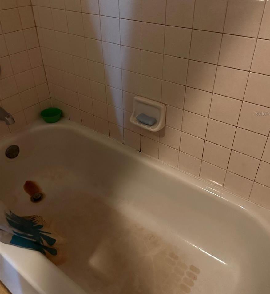 Photo #23